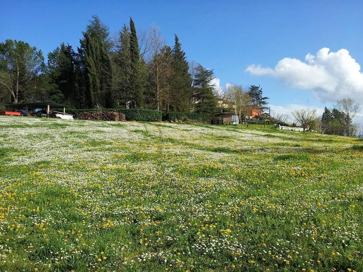 Σπίτι διακοπών Tuscan Hills Near Florence - Stone House Vicchio