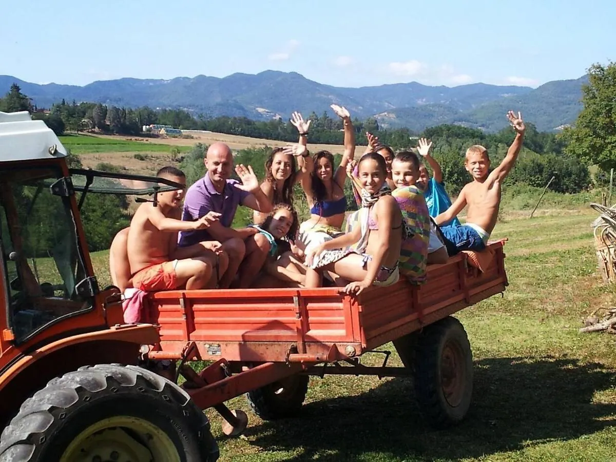 Tuscan Hills Near Florence - Stone House Vicchio